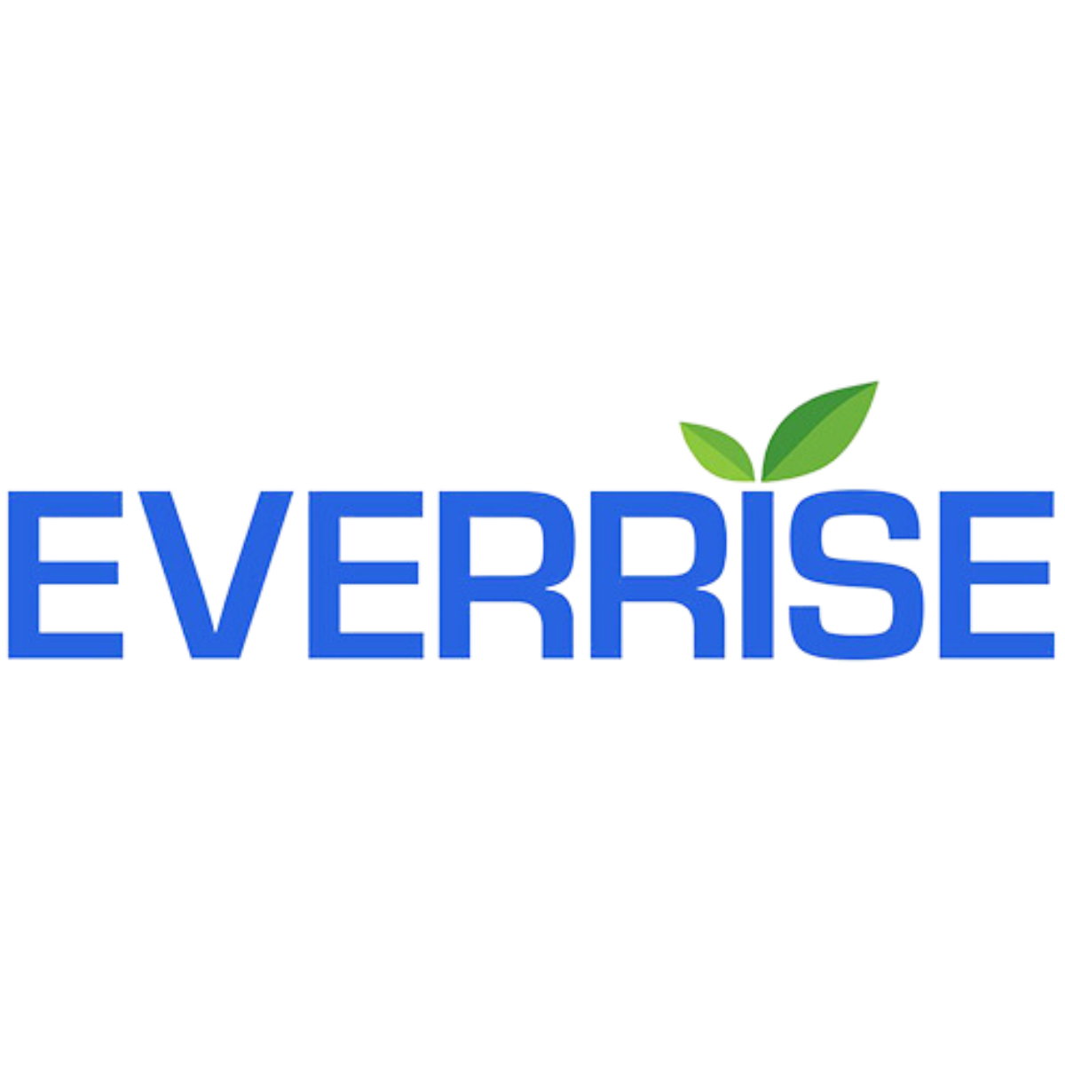 Everrise Logo