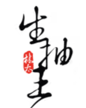 SANG CHOW WONG PTE LTD SANG CHOW WONG PTE LTD